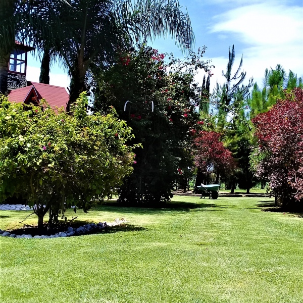 Mantenimiento de áreas Verdes 