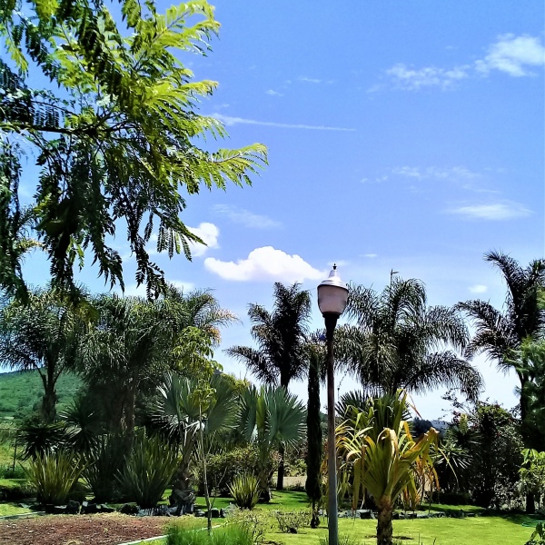 Mantenimiento de áreas Verdes 